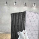 삼성2-123 이미지