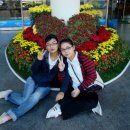 여수시민회관 이미지