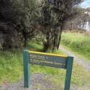 럭스파크 | 여행 4편, Great walk tail 케플러 트랙 럭스모어 헛까지 후기 미치도록 힘들었지만 절대 후회 없는...