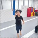 세종태권도 | 세종태권도 아이들이 즐거움 속에서 성장하는 TL태권도 후기