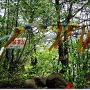 원동향로봉 산행후기.