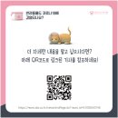서래동물병원 이미지