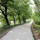 기분전환청소 네이버블로그