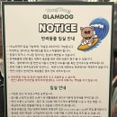 양양동물병원 | 글램독 애견펜션 양양점 | 강원도 애견동반 숙소 추천 (바베큐장, 잔디 운동장, 샤워룸)
