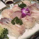 동경스시 | 역삼역 회&amp;스시 맛집 &#39;동경스시‘ 방문 후기