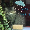 신달하우스 이미지