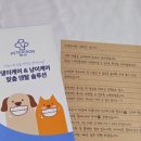 반려동물 토탈 케어 | 반려동물 구강관리 필수템🧡 페디슨 덴탈케어 칫솔 후기🐾