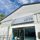 바닷가락 이미지
