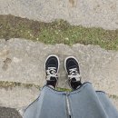 참솔에너지 | 250506_어버이의 어버이날(feat. &lt;경주의 하루&gt; 카페 후기)
