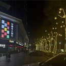 심천 | 260322 심천 오프 후기 (투샷 찍고 싸인까지 받은 날)