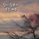 쉼표cafe