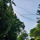 로얄종합카 이미지