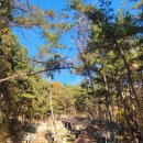 초록공원 | “부산 초록공원 가봤나요? 숲체험·황토길·국내최장거리 미끄럼틀까지 총정리 후기”