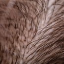 비엔엘에스테틱아카데미 이미지