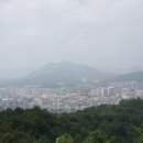 덕음정 Daum카페