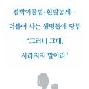 녹색환경연합(주) 이미지