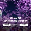 사상-교통-026 | 한국인은 거의 없는 도쿄 현지인 벚꽃 스팟 : 당일치기 온천에 일루미네이션까지