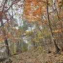 덕치우체국 이미지