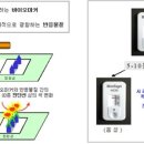 중앙디엔피 | 계명대, 비만 바이오마커 검출 면역센서 개발