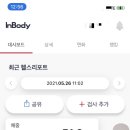 스위밍버터