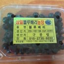 삼일농장 이미지