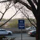 낙동자전거길우회길3 네이버블로그