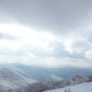 제156차(01/18) 태백산 눈꽃산행 안내 이미지