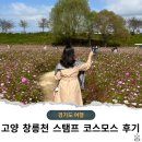 제기자건거 | 고양 창릉천 스탬프 코스모스 축제 주차 방문후기