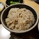 야스노야