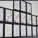 더독스 강아지분양 서울 이미지