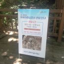 팔봉산 관광안내소 | 서산 여행 후기 S2 1 - 용현리 마애여래삼존상, 가야산, 팔봉산감자축제