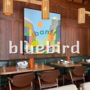 블루버드 | 밴프 스테이크 맛집 | 블루버드 스테이크 Bluebird Woodfired Steakhouse 후기