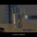 고래밥상 이미지