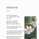 풋사랑