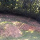 이승훈묘 이미지