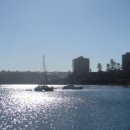 파란바다약국 이미지