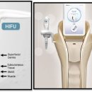 케이바이오 이미지