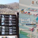 단양구경시장2 이미지