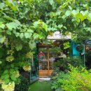 봄내멸치쌈밥 이미지