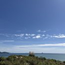 새미끌집 이미지