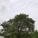 나산실용예술중학교 이미지