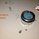 강경백조아파트 이미지