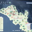 제주 평대리 비자나무 숲 이미지