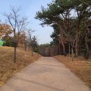 1183 | [광교] 열림공원 유아숲체험원 다녀왔어요