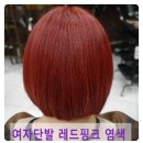 한스헤어 이미지