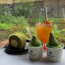&lt;제주여행&gt; 오설록 티 뮤지엄 방문 후기🍵🌿🌱☘️