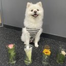 유니독스 이미지