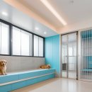 부산강아지분양 마이뭉 24시 | 부산강아지분양 마이뭉 24시 부산말티푸분양 실사용 기준으로 정리한 후기