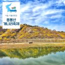 2025 응봉산 개나리축제 행사 일정 팔각정 가는길 주차장 꿀팁