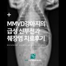 고척원동물의료센터 | MMVD 강아지의 급성 신부전과 췌장염 치료 후기